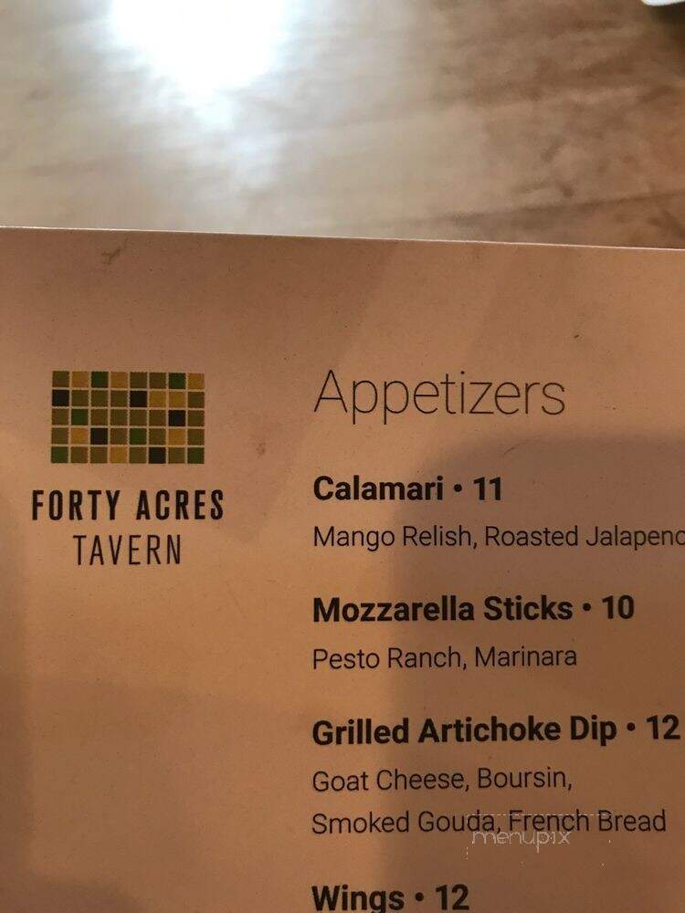 Forty Acres Tavern - Boyne Falls, MI