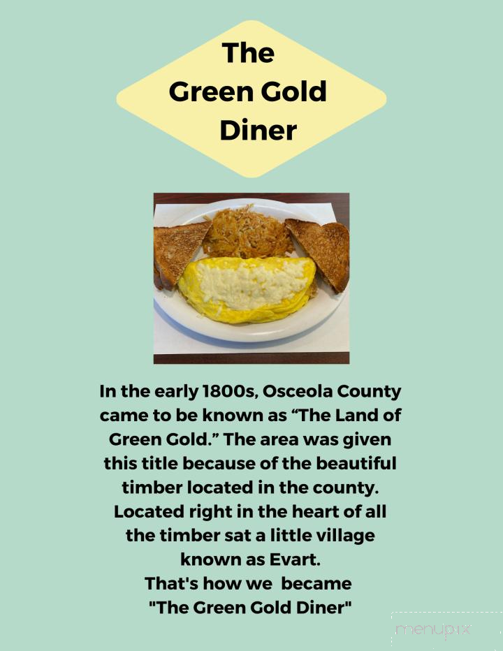 The Green Gold Diner - Evart, MI