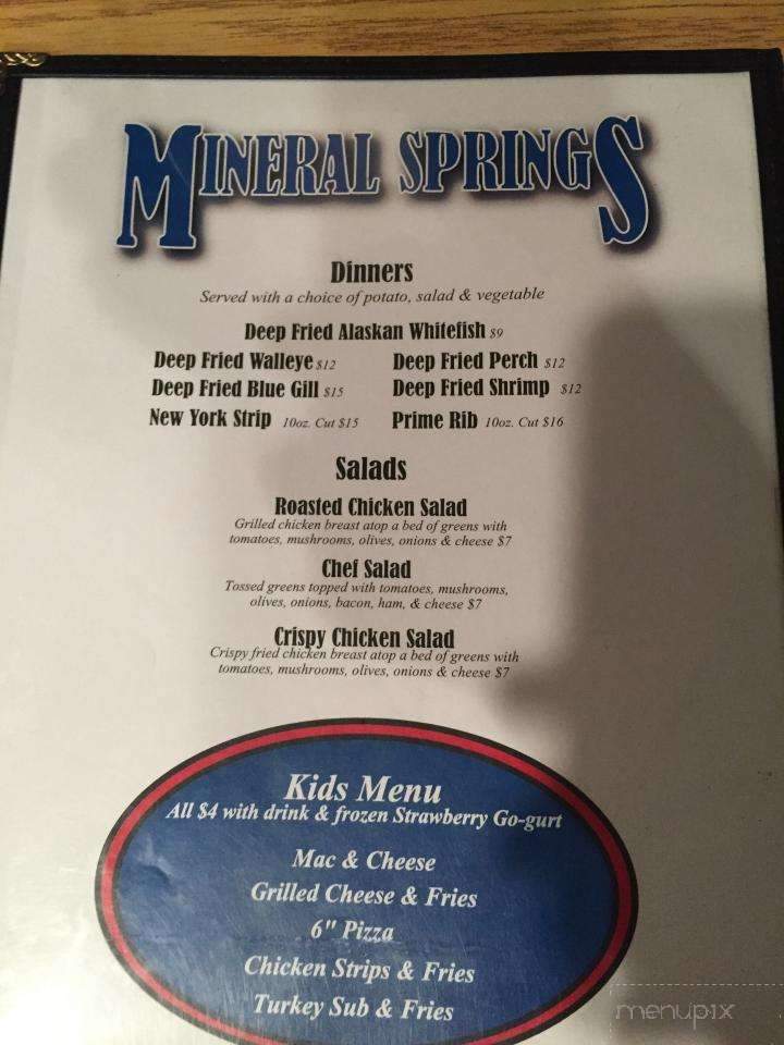 Mineral Springs Bar - Tustin, MI